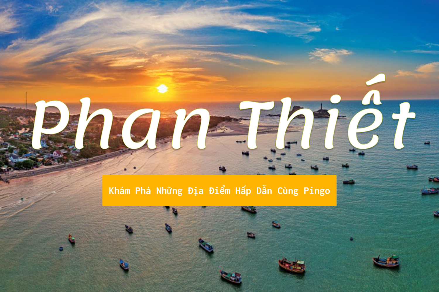Phan Thiết Pingo