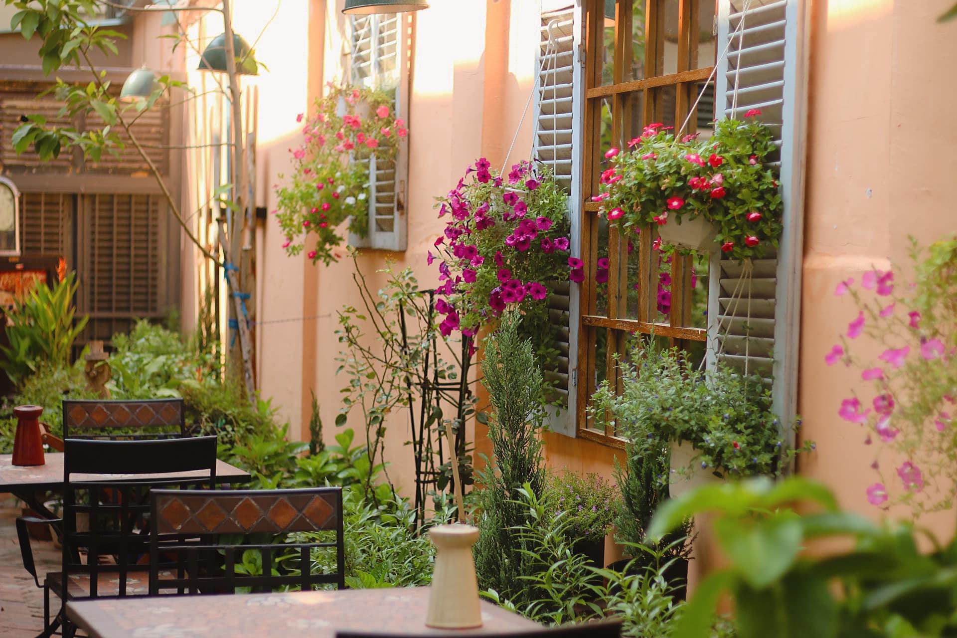 địa điểm cafe - địa điểm ăn uống - Pingo