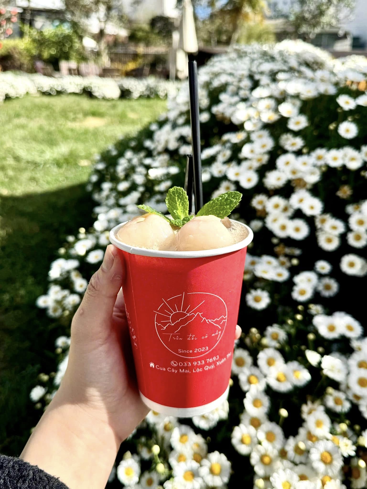 quán cafe Đà Lạt, địa điểm ăn uống, Pingo