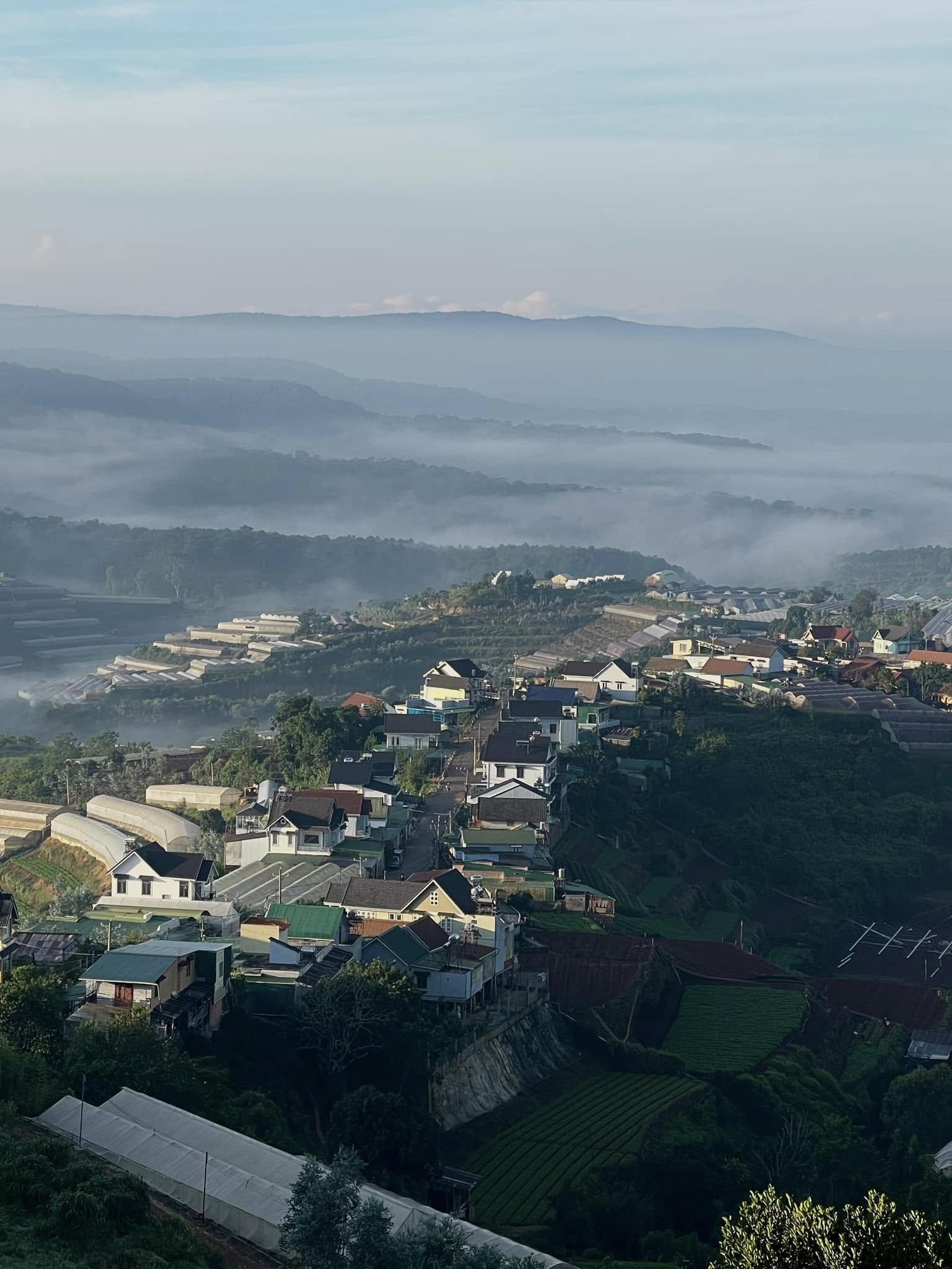 quán cafe Đà Lạt, địa điểm ăn uống, Pingo
