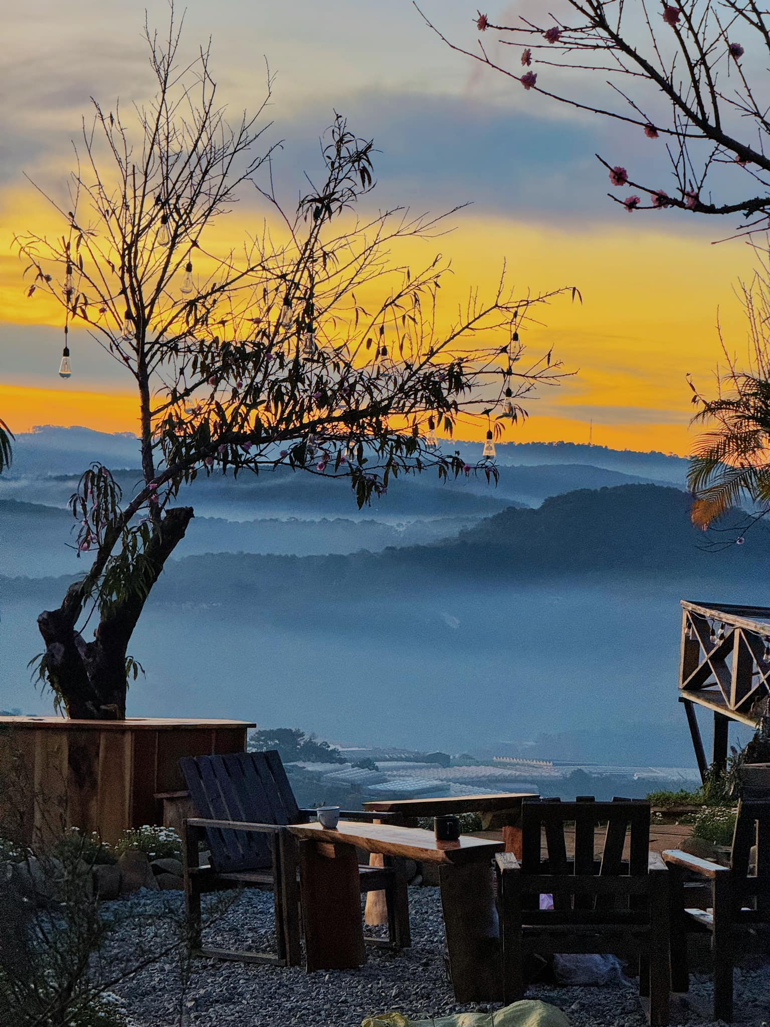 quán cafe Đà Lạt, địa điểm ăn uống, Pingo