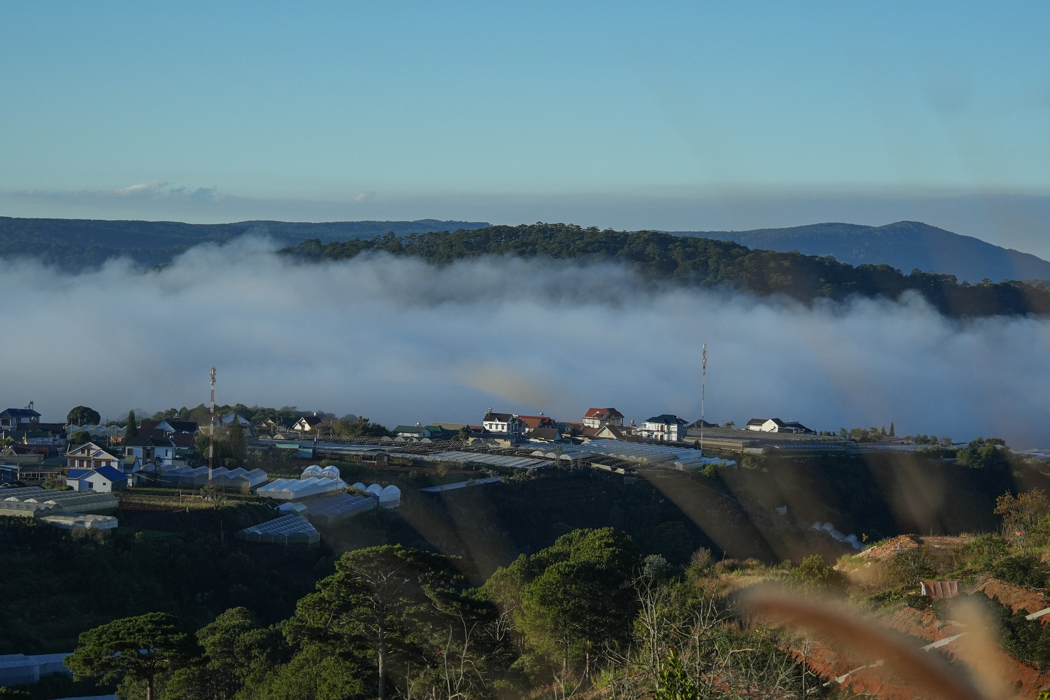 cafe đẹp Đà Lạt, quán cafe view đẹp