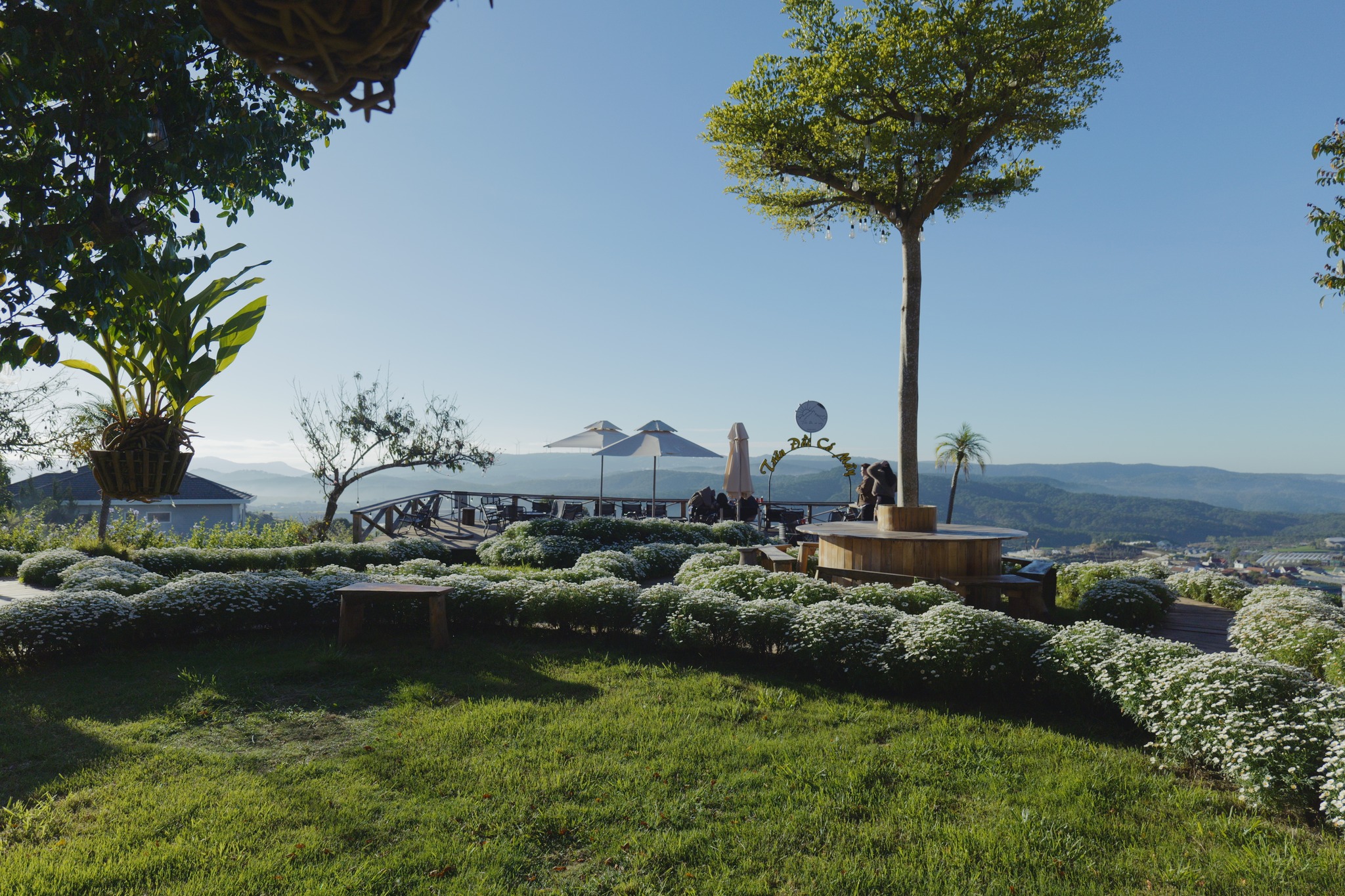 cafe đẹp Đà Lạt, quán cafe view đẹp