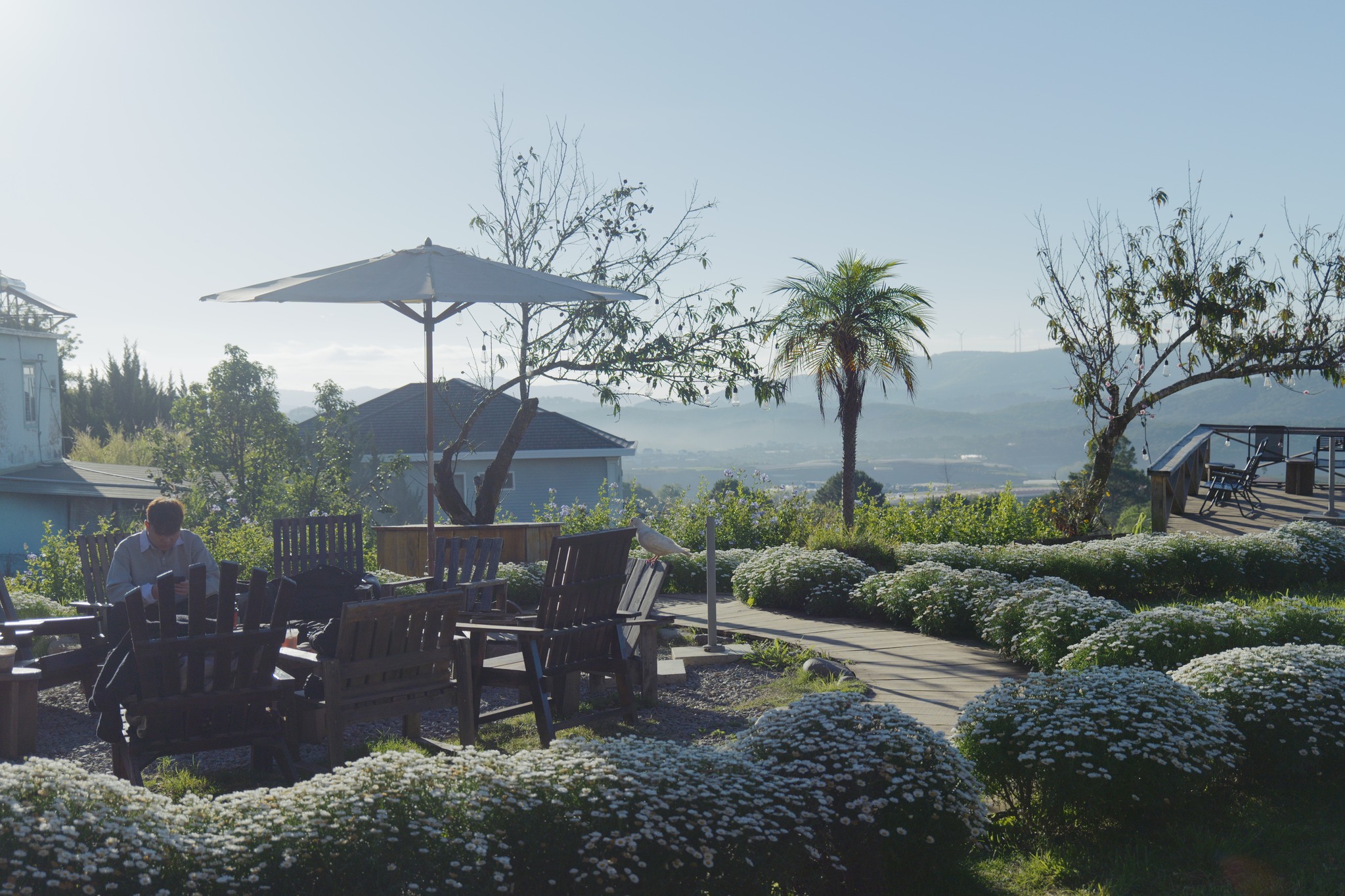 cafe đẹp Đà Lạt, quán cafe view đẹp