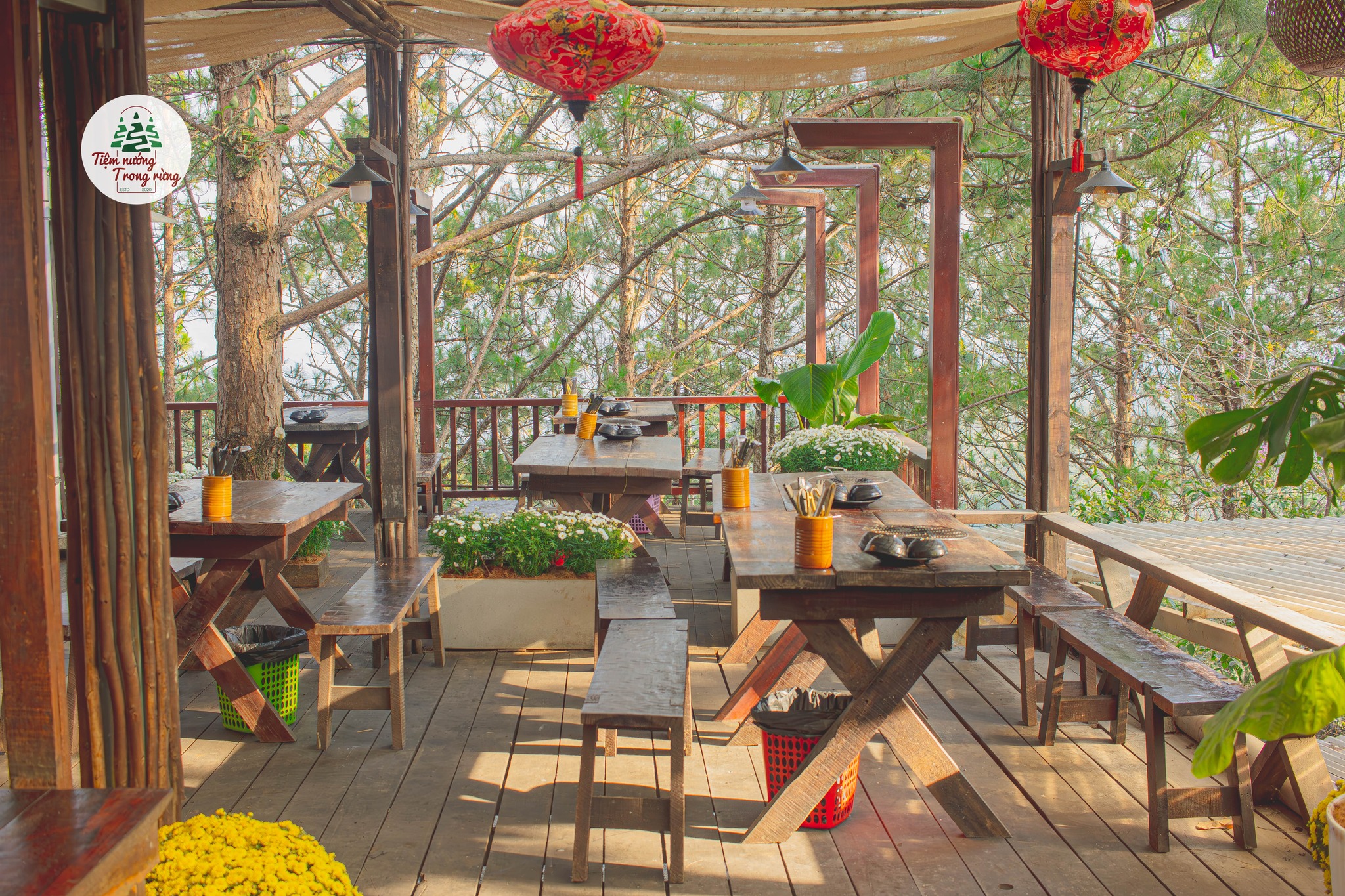 Không gian tiệm nướng Đà Lạt giữa rừng, lung linh đèn đêm